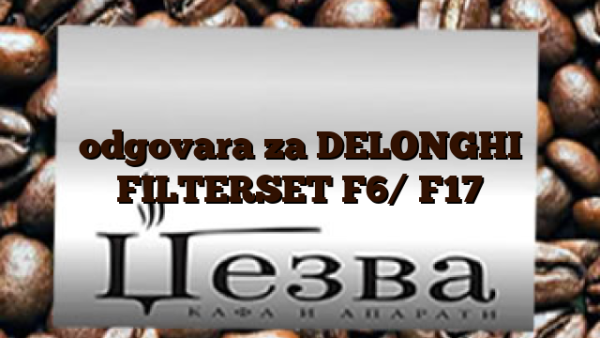 odgovara za DELONGHI  FILTERSET F6/ F17