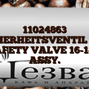 11024863  SICHERHEITSVENTIL L-F/ BR.SAFETY VALVE 16-18 BAR ASSY.