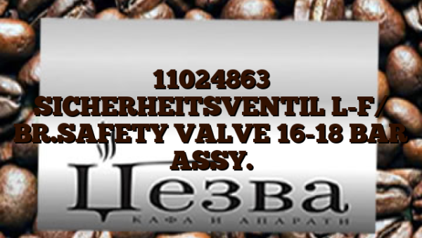 11024863  SICHERHEITSVENTIL L-F/ BR.SAFETY VALVE 16-18 BAR ASSY.