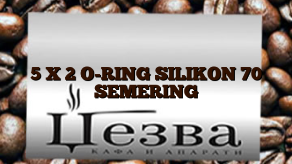5 X 2 O-RING SILIKON 70 SEMERING