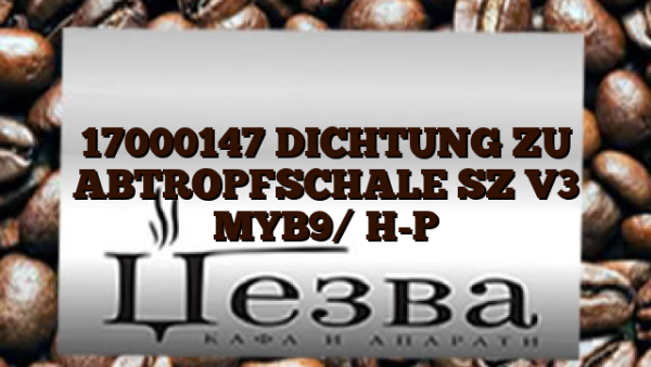 17000147  DICHTUNG ZU ABTROPFSCHALE SZ V3 MYB9/ H-P
