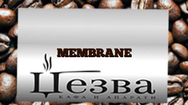 MEMBRANE