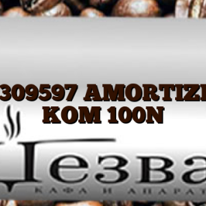 C00309597  AMORTIZER 2 KOM 100N