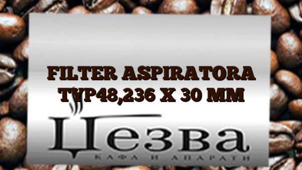 FILTER ASPIRATORA TYP48,236 X 30 MM