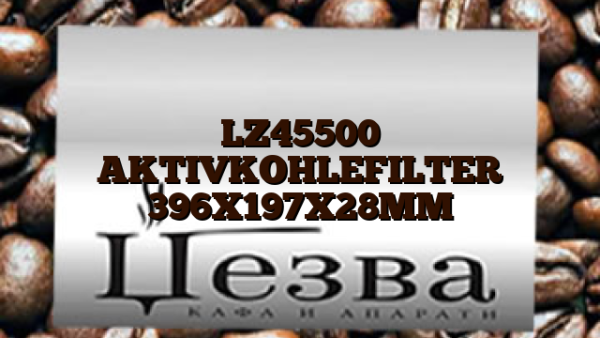LZ45500  AKTIVKOHLEFILTER 396X197X28MM
