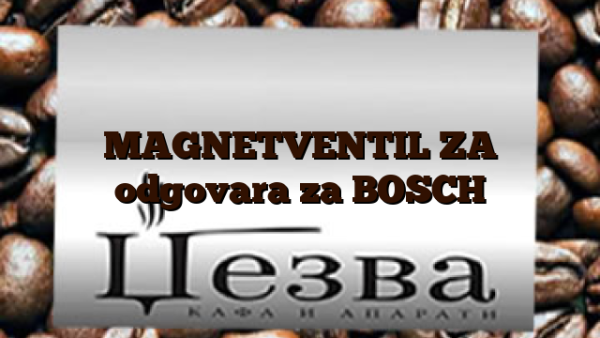 MAGNETVENTIL ZA  odgovara za BOSCH