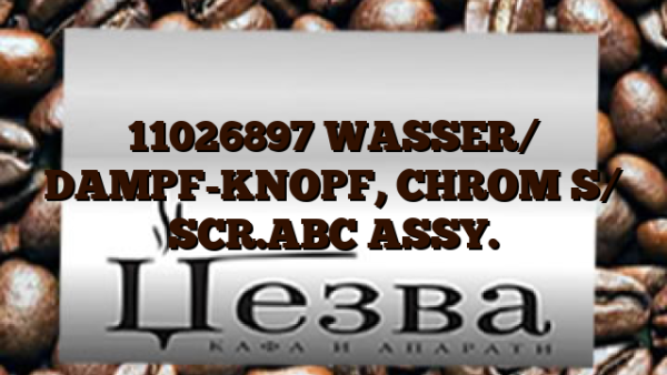11026897  WASSER/ DAMPF-KNOPF,  CHROM S/ SCR.ABC ASSY.