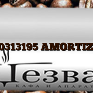 C00313195  AMORTIZER