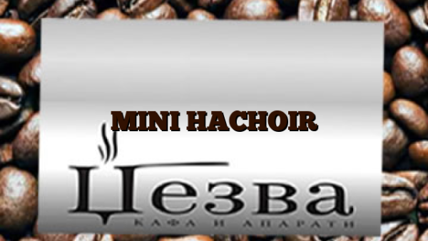 MINI HACHOIR