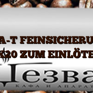 1,0A-T  FEINSICHERUNG 5X20 ZUM EINLÖTEN