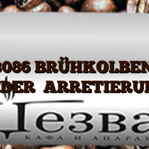 11023086  BRÜHKOLBEN MIT FEDER   ARRETIERUNG