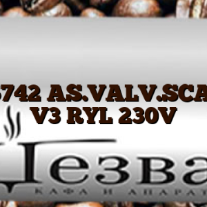 11025742  AS.VALV.SCARICO V3 RYL 230V