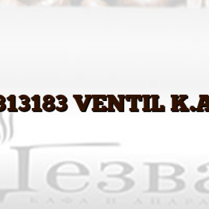 C00313183  VENTIL K.A. 2,5