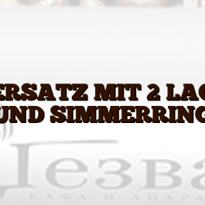 LAGERSATZ MIT 2 LAGERN UND SIMMERRING