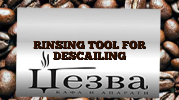 RINSING TOOL FOR DESCAILING