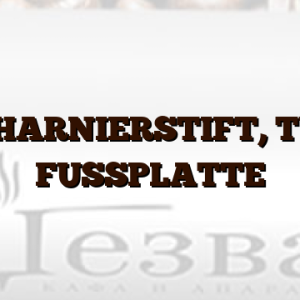 SCHARNIERSTIFT, TÜR, FUSSPLATTE