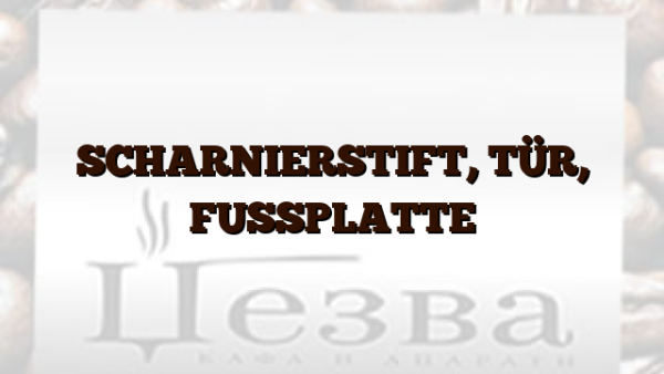 SCHARNIERSTIFT, TÜR, FUSSPLATTE