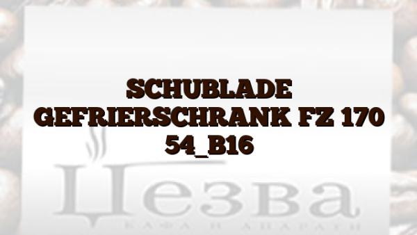 SCHUBLADE GEFRIERSCHRANK FZ 170 54_B16