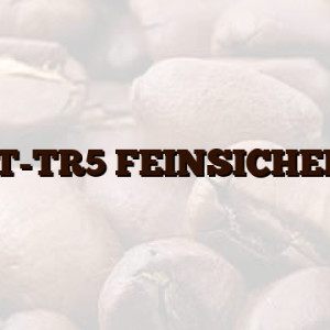 0,2A-T-TR5 FEINSICHERUNG