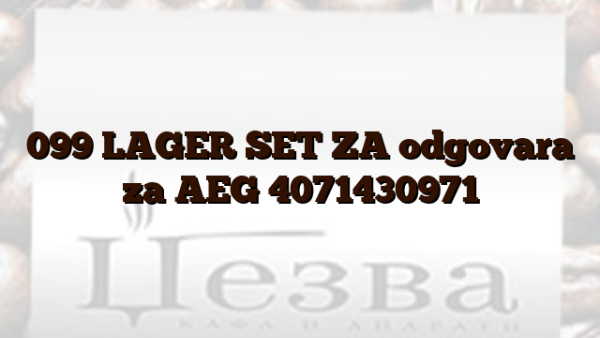 099 LAGER SET ZA odgovara za AEG 4071430971
