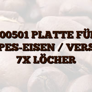 100501  PLATTE FÜR CRÊPES-EISEN / VERSION 7X LÖCHER