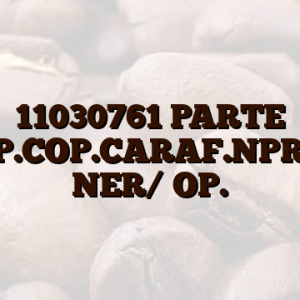 11030761  PARTE SUP.COP.CARAF.NPR/ T NER/ OP.