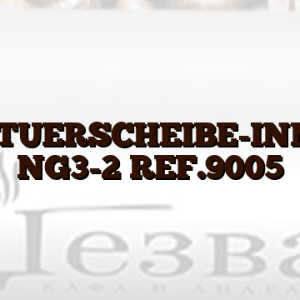 BO-TUERSCHEIBE-INNEN NG3-2 REF.9005
