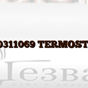 C00311069  TERMOSTAT