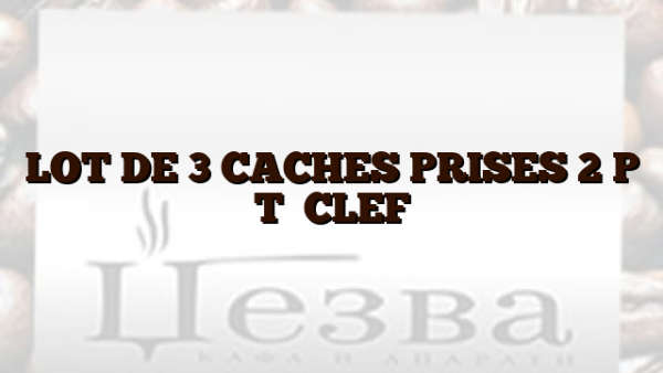 LOT DE 3 CACHES PRISES 2 P  T   CLEF