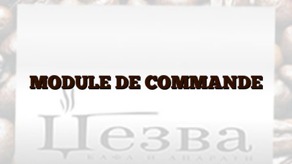 MODULE DE COMMANDE