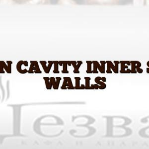 OVEN CAVITY INNER SIDE WALLS