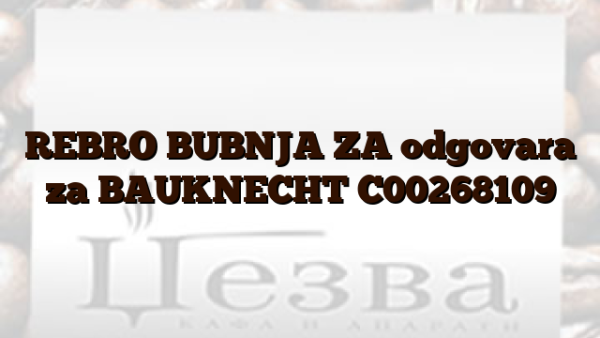 REBRO BUBNJA ZA odgovara za BAUKNECHT C00268109