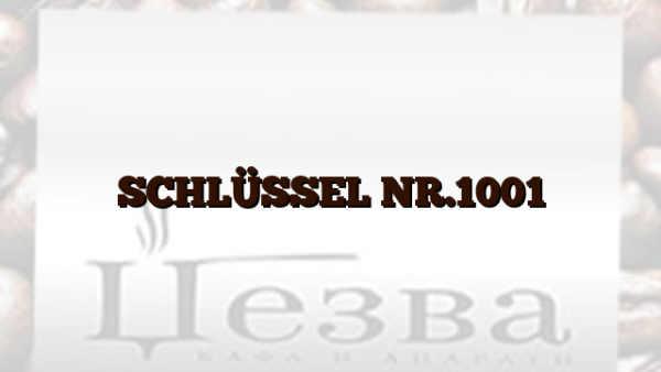 SCHLÜSSEL NR.1001