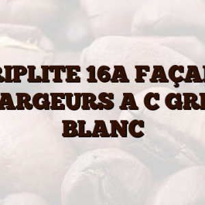 TRIPLITE 16A FAÇADE    CHARGEURS A  C GRIS /  BLANC