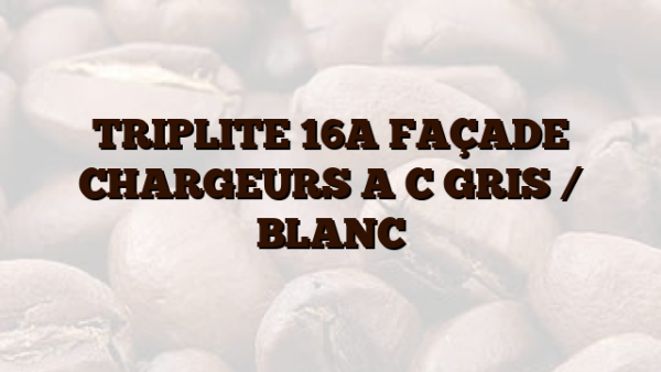 TRIPLITE 16A FAÇADE    CHARGEURS A  C GRIS /  BLANC