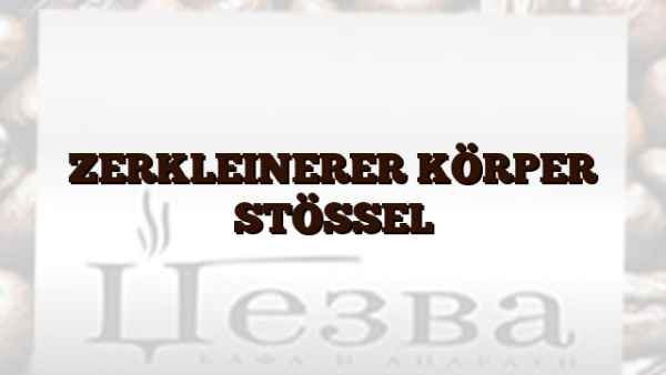 ZERKLEINERER KÖRPER  STÖSSEL