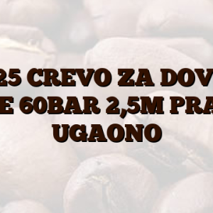 0225 CREVO ZA DOVOD VODE 60BAR 2,5M PRAVO/ UGAONO