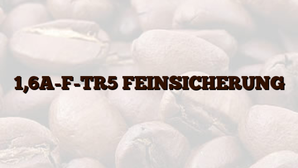 1,6A-F-TR5 FEINSICHERUNG
