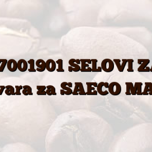 17001901  SELOVI ZA odgovara za SAECO MAŠINE