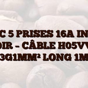 BLOC 5 PRISES 16A INTER NOIR – CÂBLE H05VV-F 3G1MM² LONG 1M