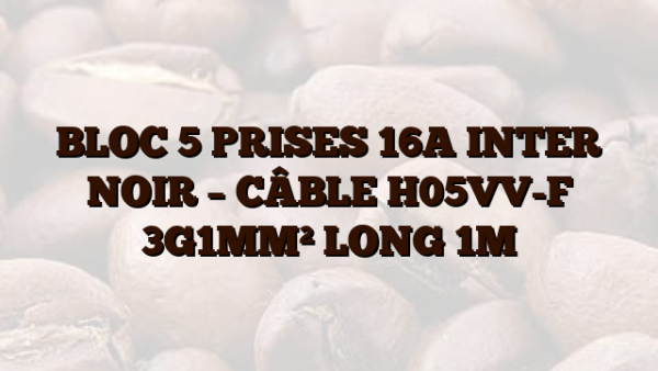 BLOC 5 PRISES 16A INTER NOIR – CÂBLE H05VV-F 3G1MM² LONG 1M