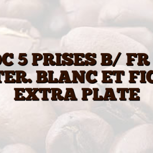 BLOC 5 PRISES B/ FR 16A    INTER. BLANC ET FICHE EXTRA PLATE