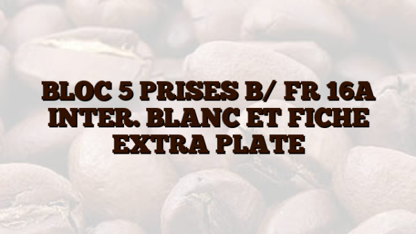 BLOC 5 PRISES B/ FR 16A    INTER. BLANC ET FICHE EXTRA PLATE