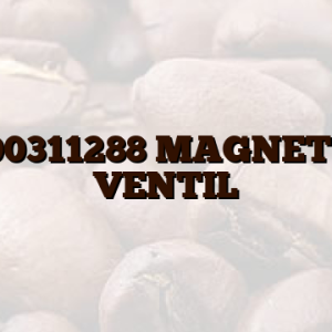 C00311288  MAGNETNI VENTIL
