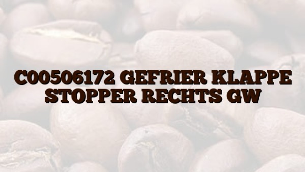 C00506172  GEFRIER KLAPPE STOPPER RECHTS GW