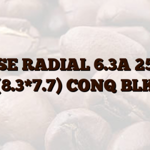 FUSE RADIAL 6.3A 250V (8.3*7.7) CONQ BLK