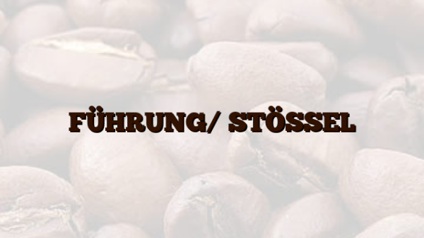 FÜHRUNG/ STÖSSEL