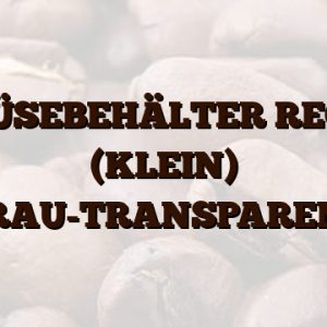 GEMÜSEBEHÄLTER RECHTS (KLEIN) GRAU-TRANSPARENT
