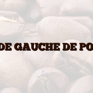 GUIDE GAUCHE DE PORTE