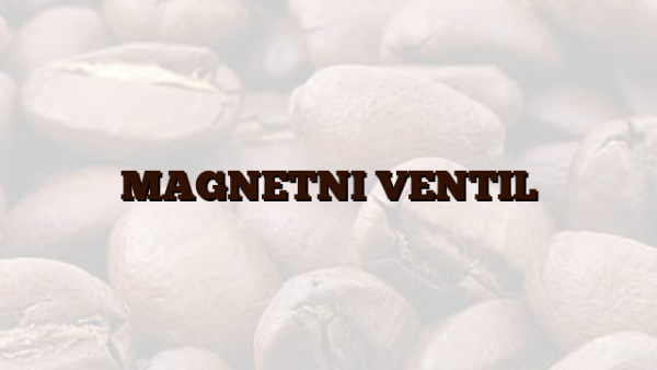 MAGNETNI VENTIL